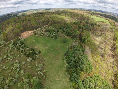 Vacant Land For Sale - Lower Mudlic Rd<br/> Armstrong County, Redbank Twp, PA 16240