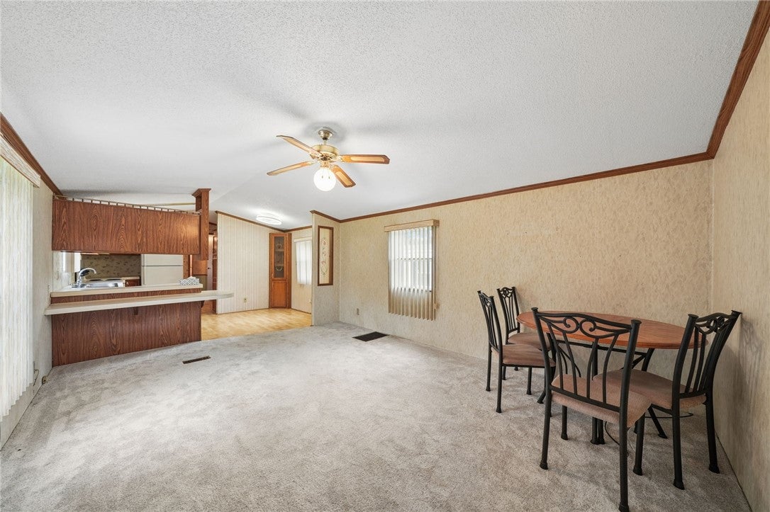 111 Yellow Pine Ln