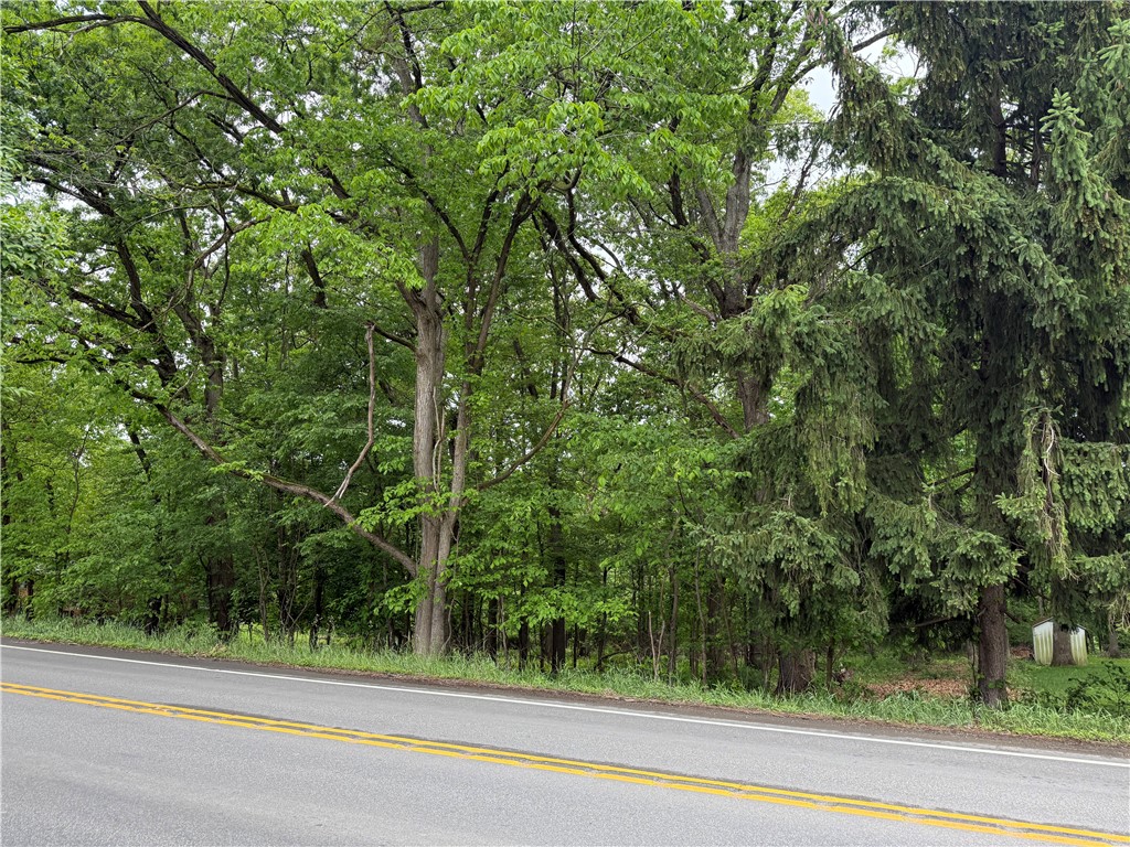 747 Wexford Bayne Rd