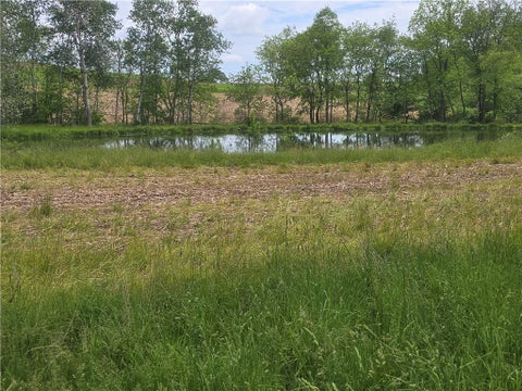 Vacant Land For Sale - Frazier Rd<br/> Jefferson Twp, PA 16002