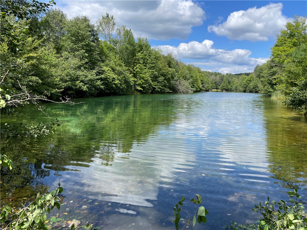 Marion Twp - But, Pennsylvania 16020, United States, ,Residential,Active,47466