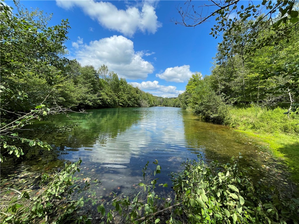 Marion Twp - But, Pennsylvania 16020, United States, ,Residential,Active,47466