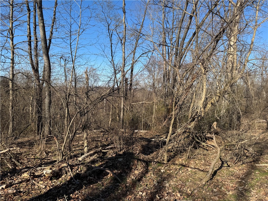 0 Fallen Timber Road