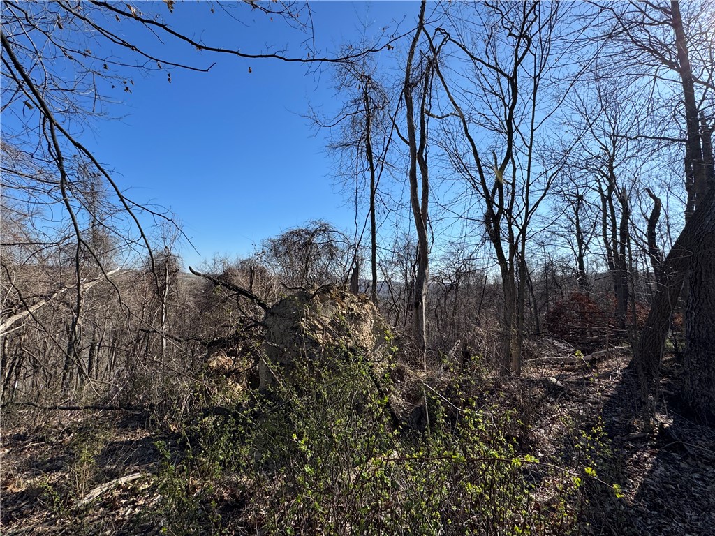0 Fallen Timber Road