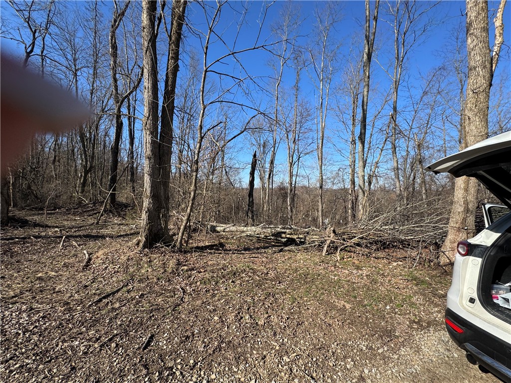 0 Fallen Timber Road