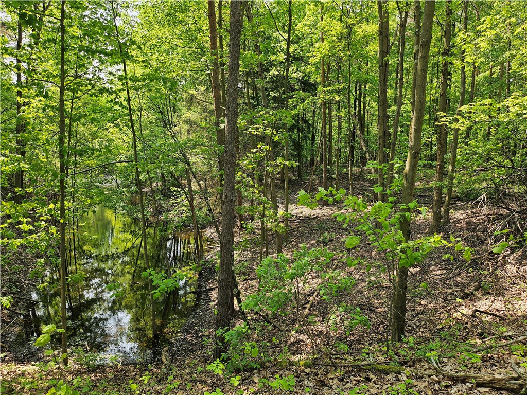 Lot D Eau Claire Road