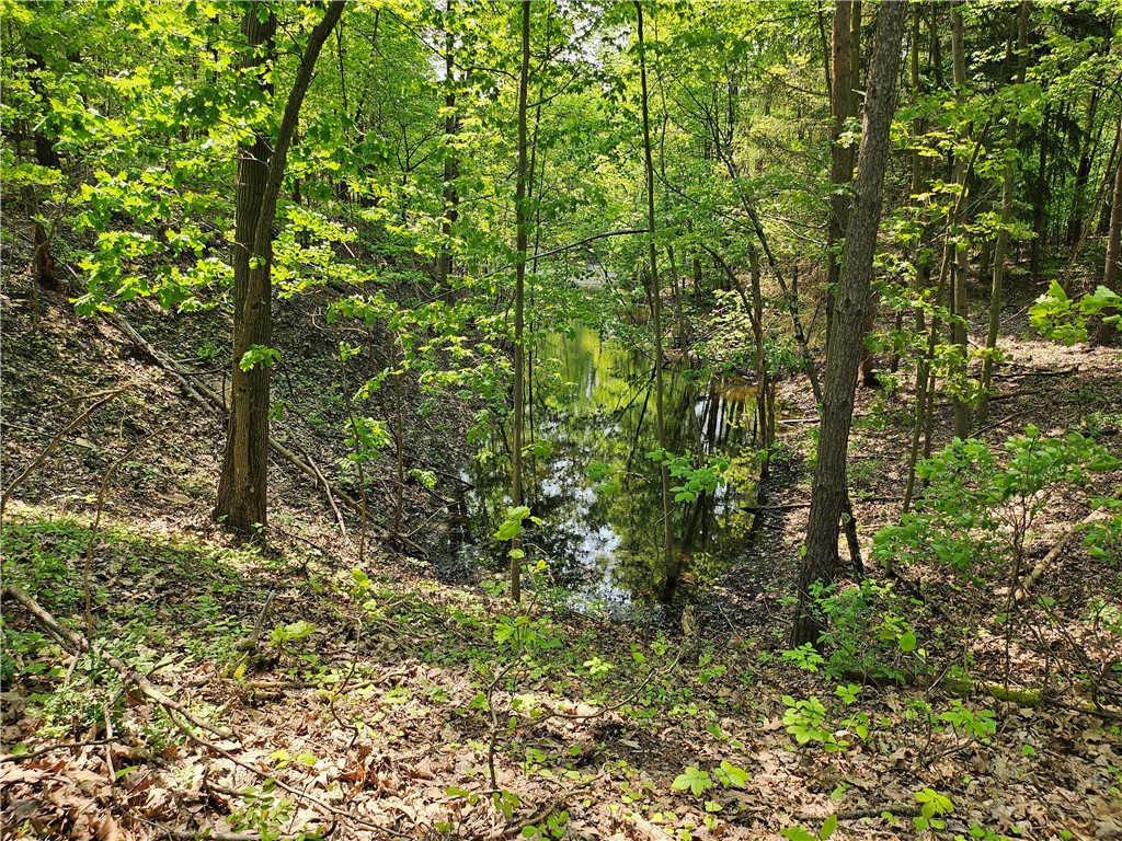 Lot D Eau Claire Road