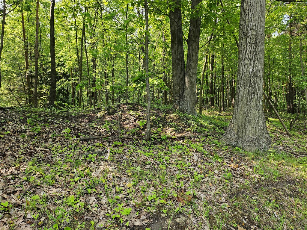 Venango Twp, Pennsylvania 16020, United States, ,Residential,Active,143851