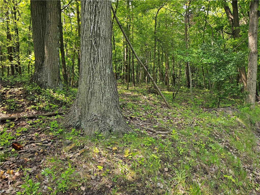 Venango Twp, Pennsylvania 16020, United States, ,Residential,Active,143851