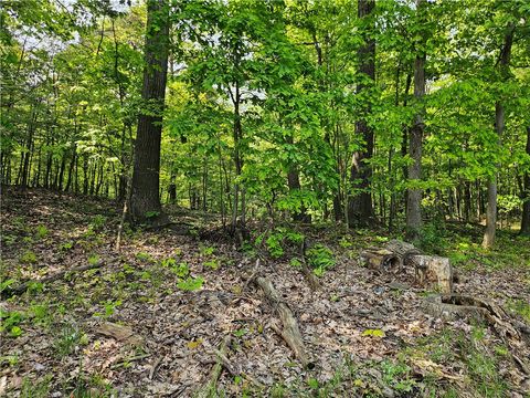 Lot D Eau Claire Road Venango Twp PA 16020