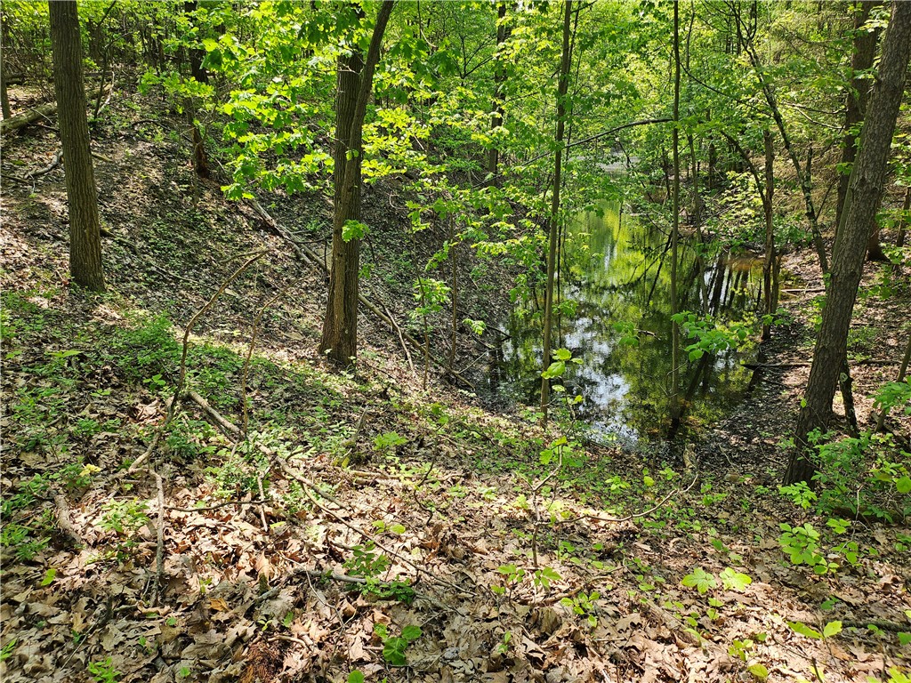 Venango Twp, Pennsylvania 16020, United States, ,Residential,Active,143851