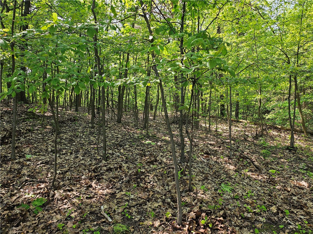 Venango Twp, Pennsylvania 16020, United States, ,Residential,Active,143851