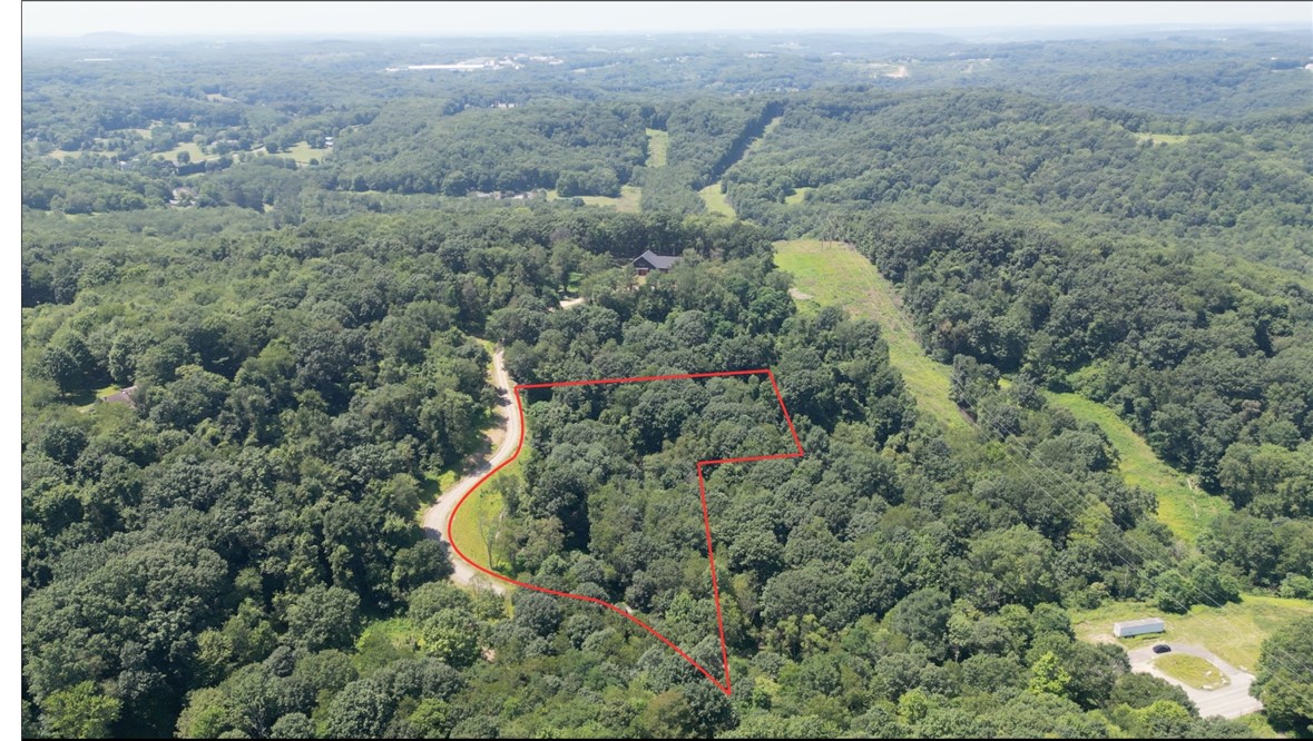 8071 Franklin Rd (Lot 3)