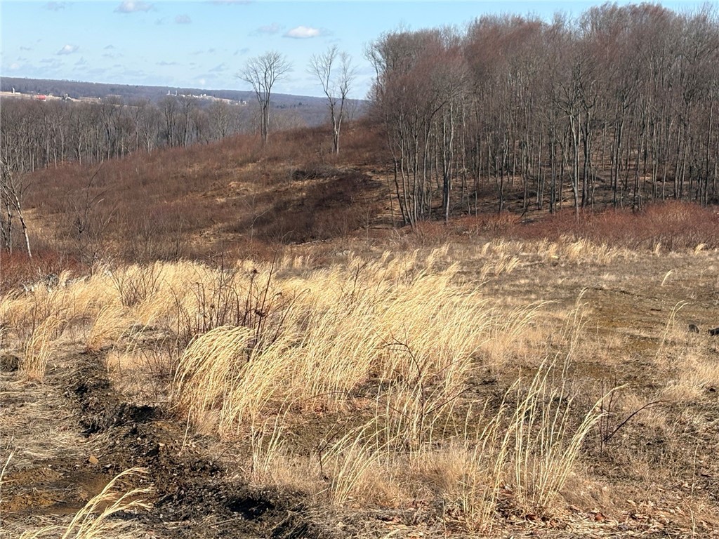 E/W Wheatfield Twp, Pennsylvania 15954, United States, ,Residential,Active,77733