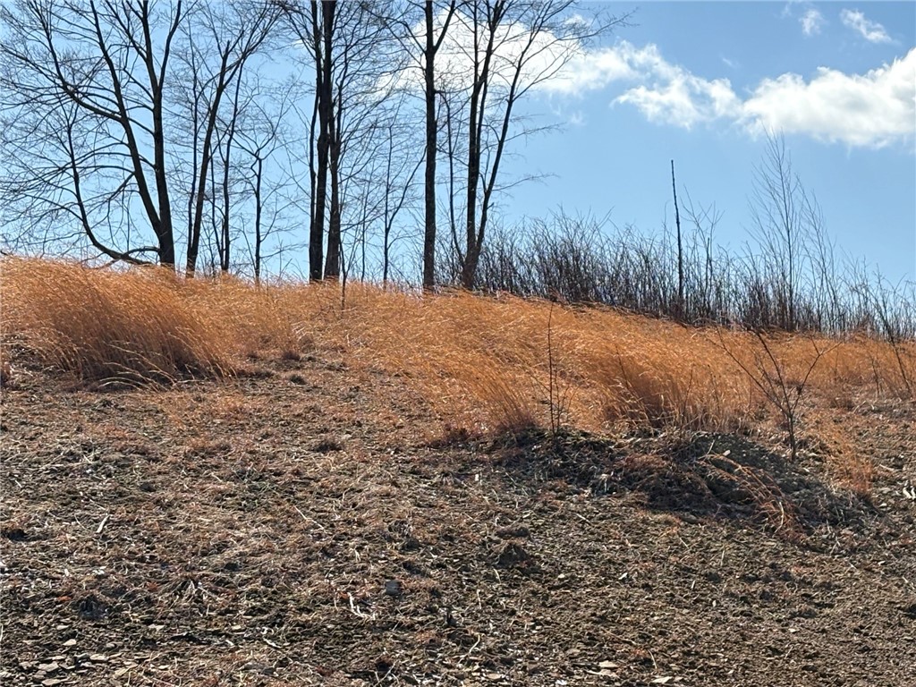 E/W Wheatfield Twp, Pennsylvania 15954, United States, ,Residential,Active,77733