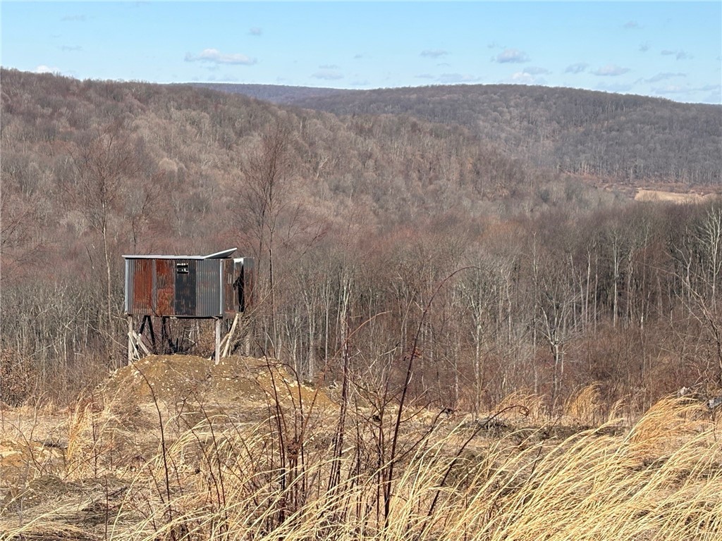 E/W Wheatfield Twp, Pennsylvania 15954, United States, ,Residential,Active,77733