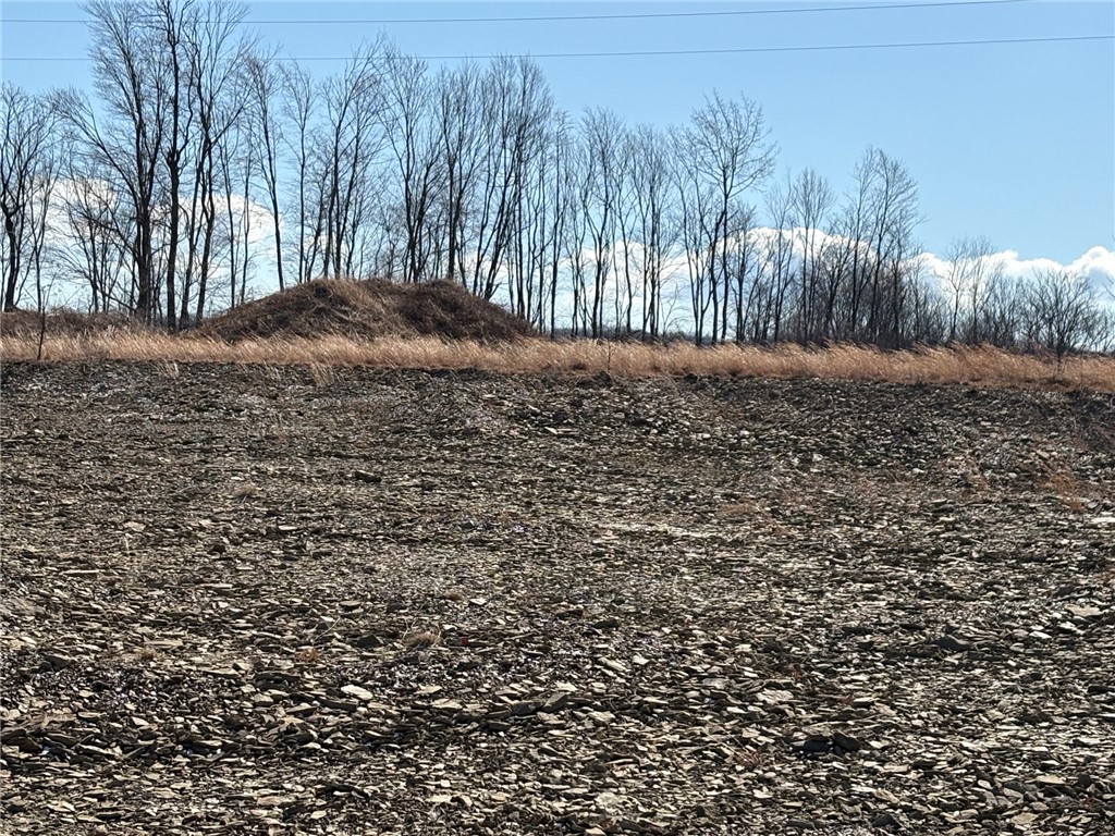 E/W Wheatfield Twp, Pennsylvania 15954, United States, ,Residential,Active,77733