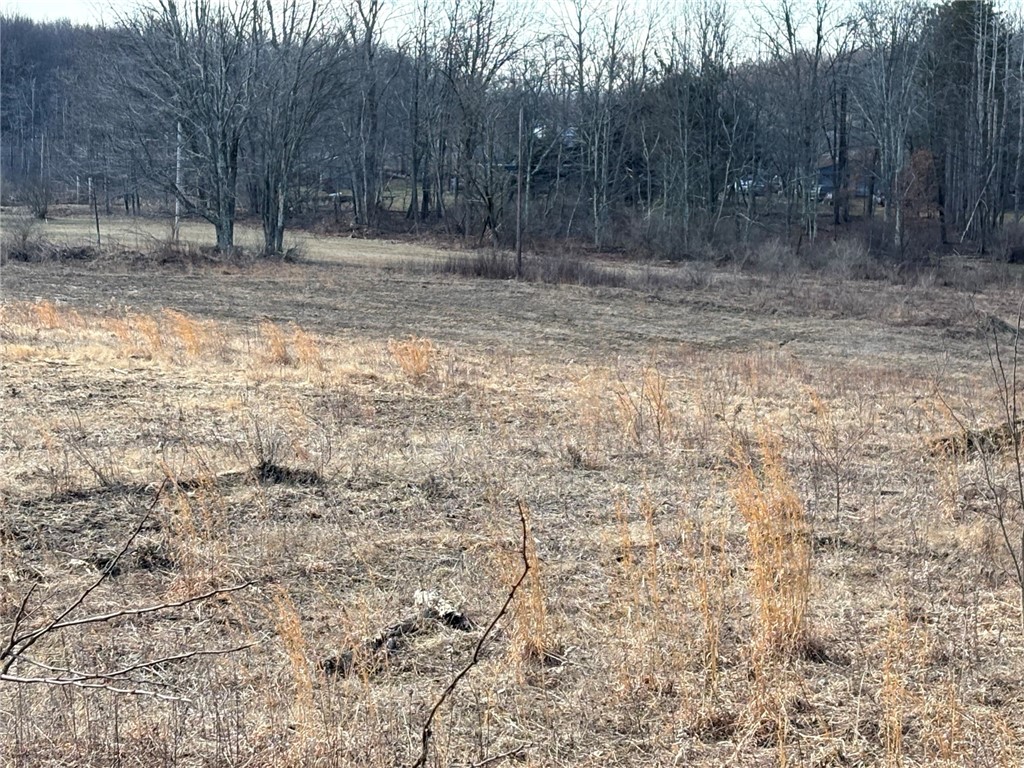 E/W Wheatfield Twp, Pennsylvania 15954, United States, ,Residential,Active,77733