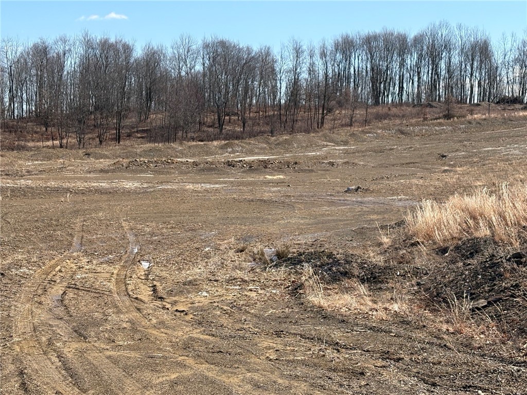 E/W Wheatfield Twp, Pennsylvania 15954, United States, ,Residential,Active,77733