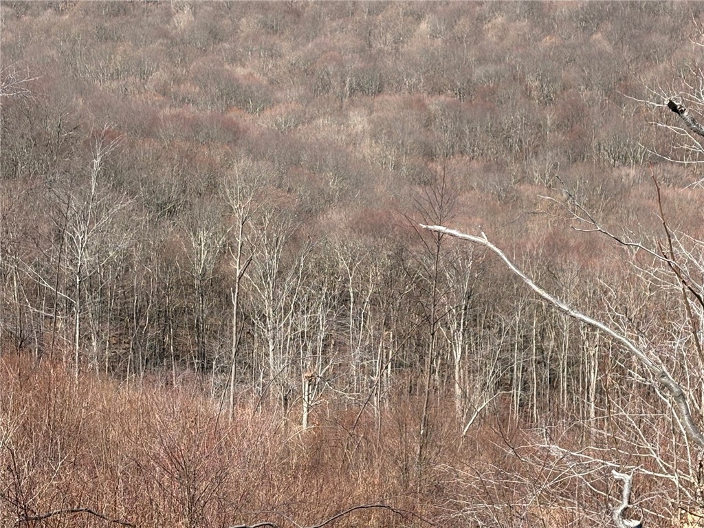 E/W Wheatfield Twp, Pennsylvania 15954, United States, ,Residential,Active,77733