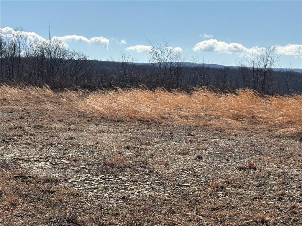 E/W Wheatfield Twp, Pennsylvania 15954, United States, ,Residential,Active,77733