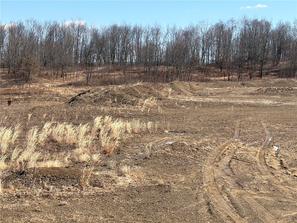 E/W Wheatfield Twp, Pennsylvania 15954, United States, ,Residential,Active,77733