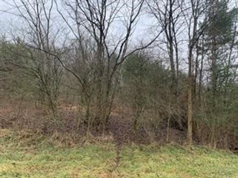 Vacant Land For Sale - LOT 6 Ringertown Road<br/> Murrysville, PA 15632
