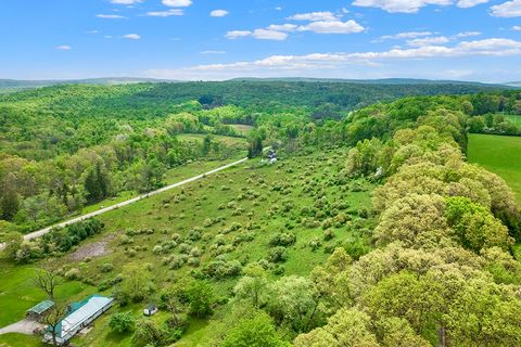 0 SWANK ROAD/NATURE RUN Ligonier Twp PA 15658