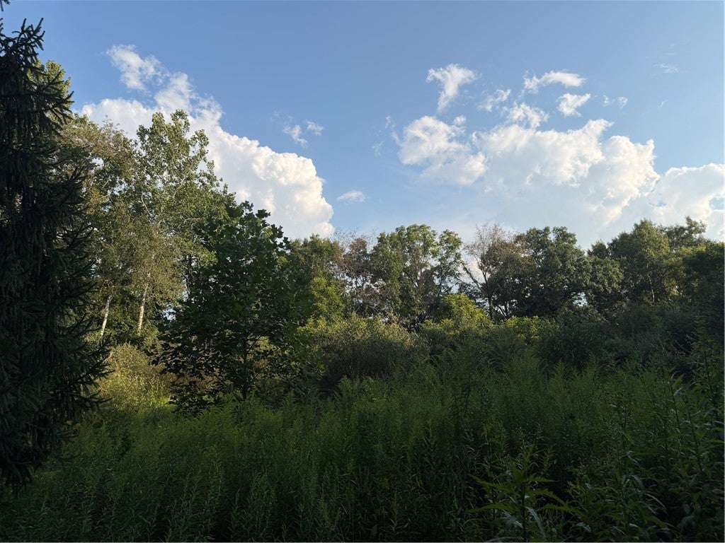 621 Crooked Creek Dam Rd