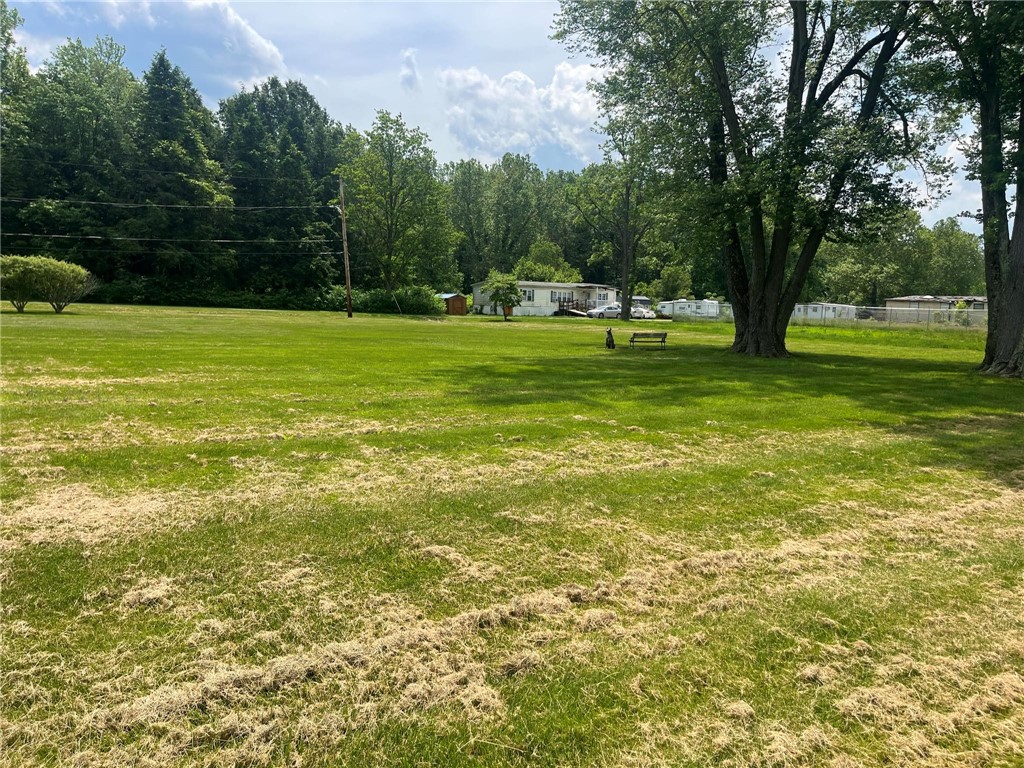 63 Lyons Ave Ave, Fairchance, Pennsylvania image 6