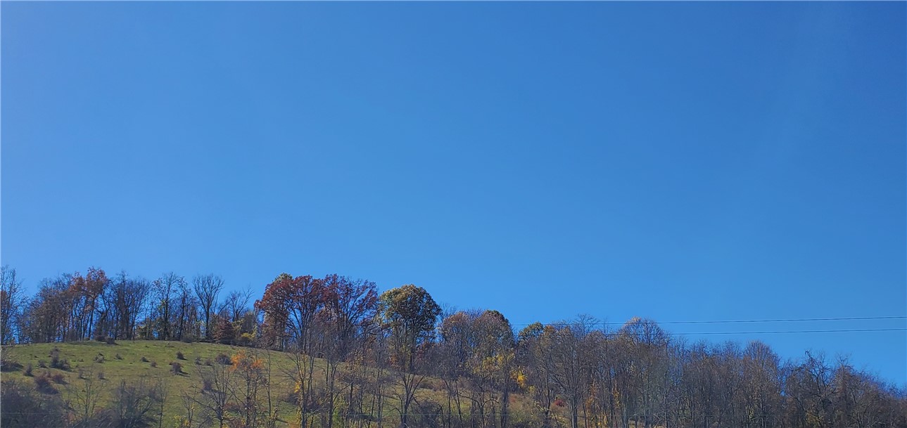 215 Bedillion Road Rd, South Franklin, Kentucky image 7
