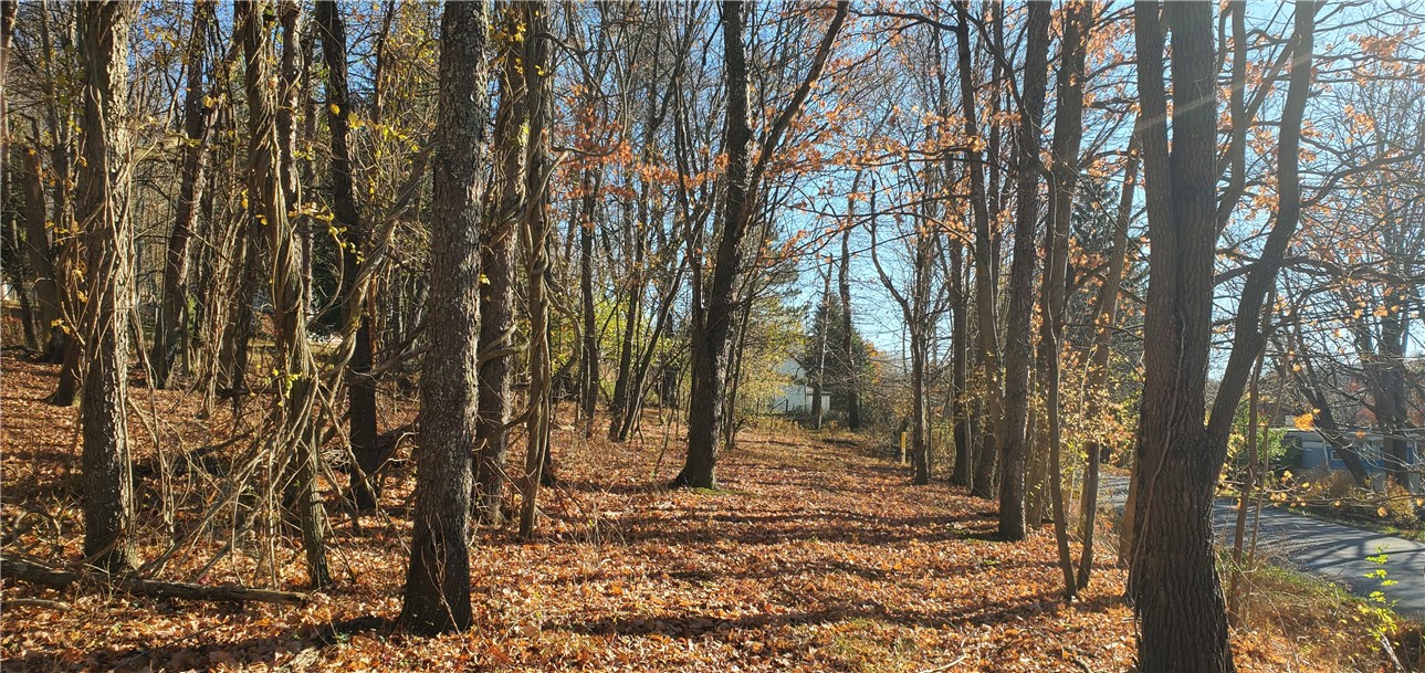 215 Bedillion Road Rd, South Franklin, Kentucky image 1