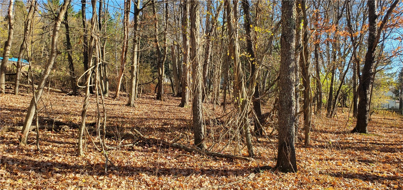 215 Bedillion Road Rd, South Franklin, Kentucky image 3