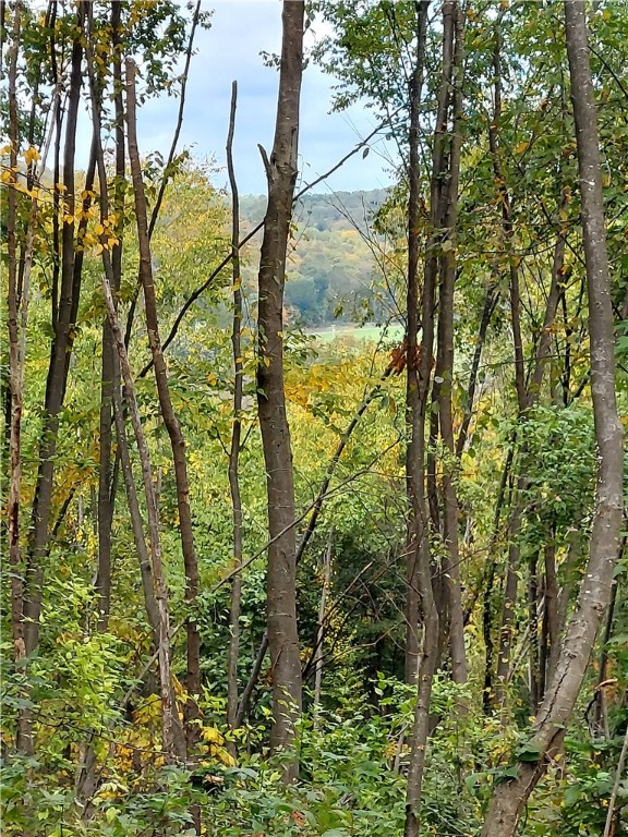 Valley Road, , Pennsylvania image 6