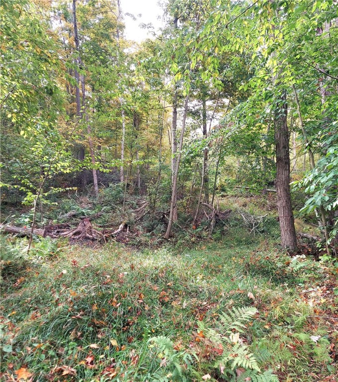 Valley Road, , Pennsylvania image 1