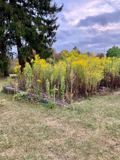 Johnstown, Pennsylvania 15909, United States, 2 Bedrooms Bedrooms, ,1 BathroomBathrooms,Residential,Active,214374