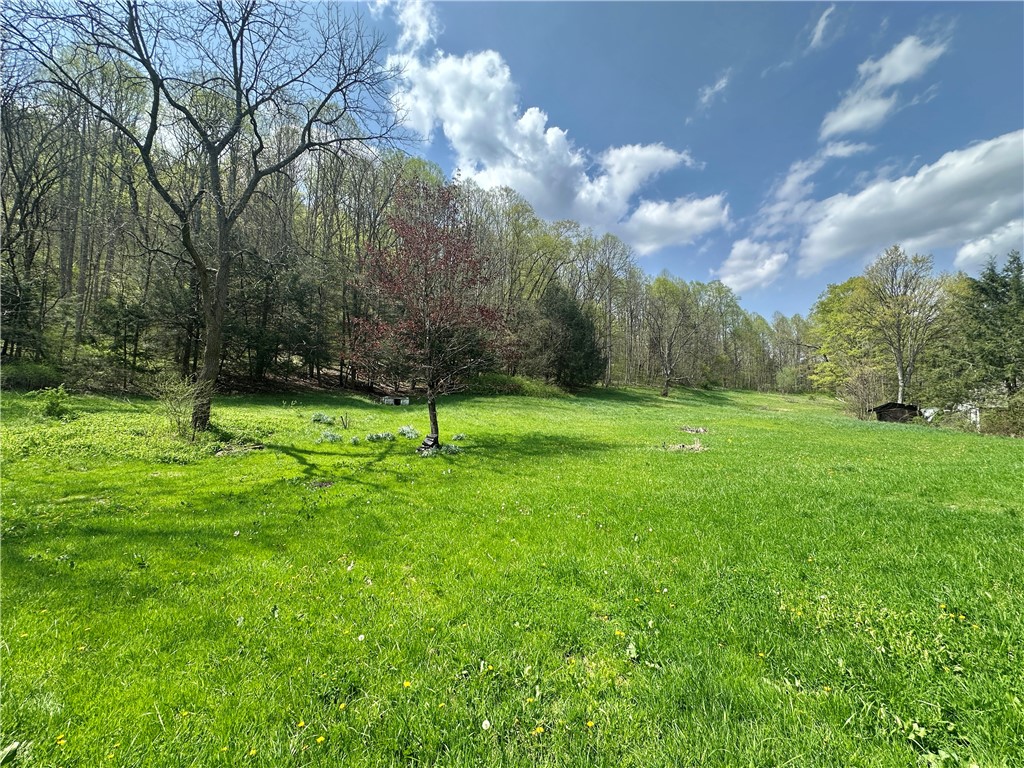 309 Dark Hollow Road