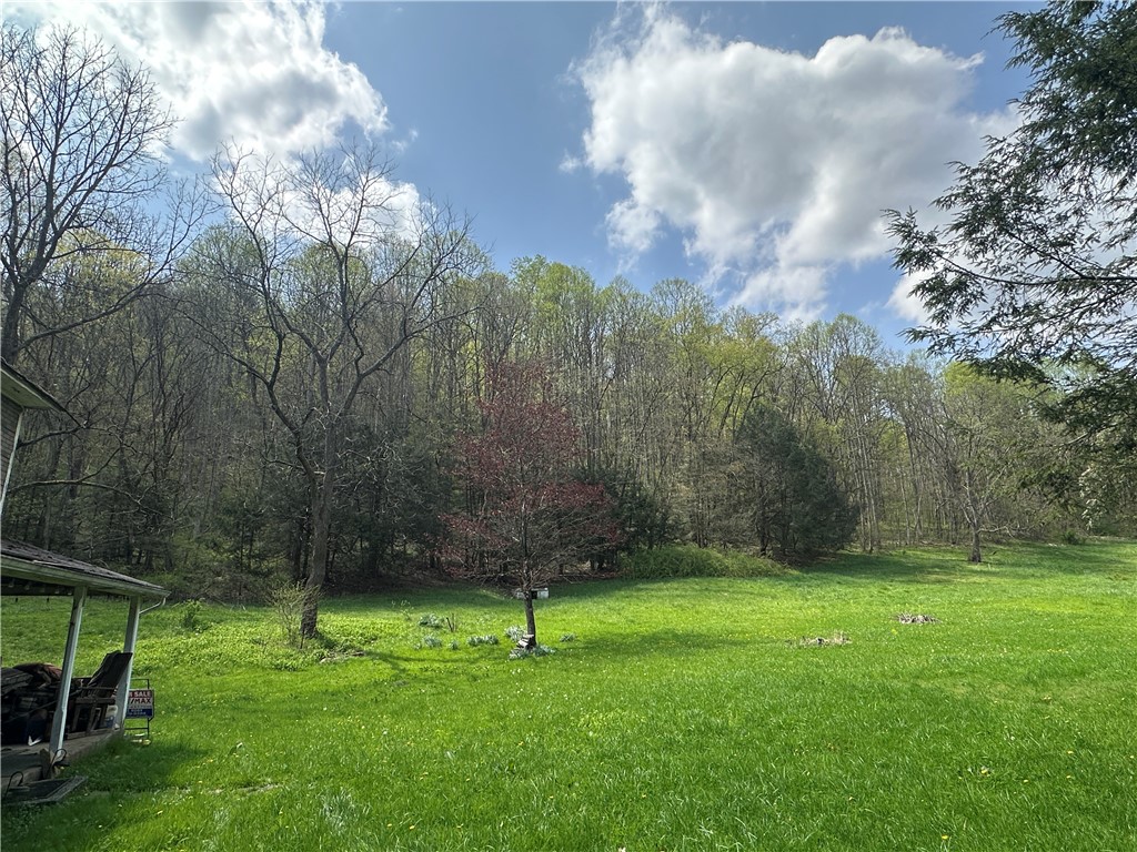 309 Dark Hollow Road