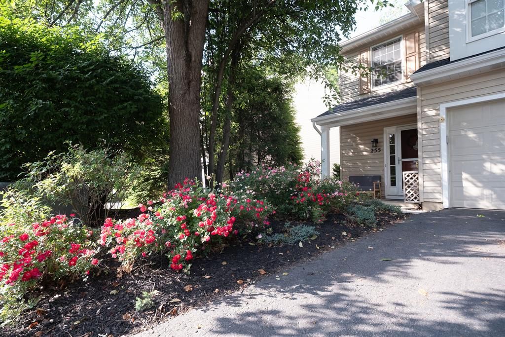 255 Commons