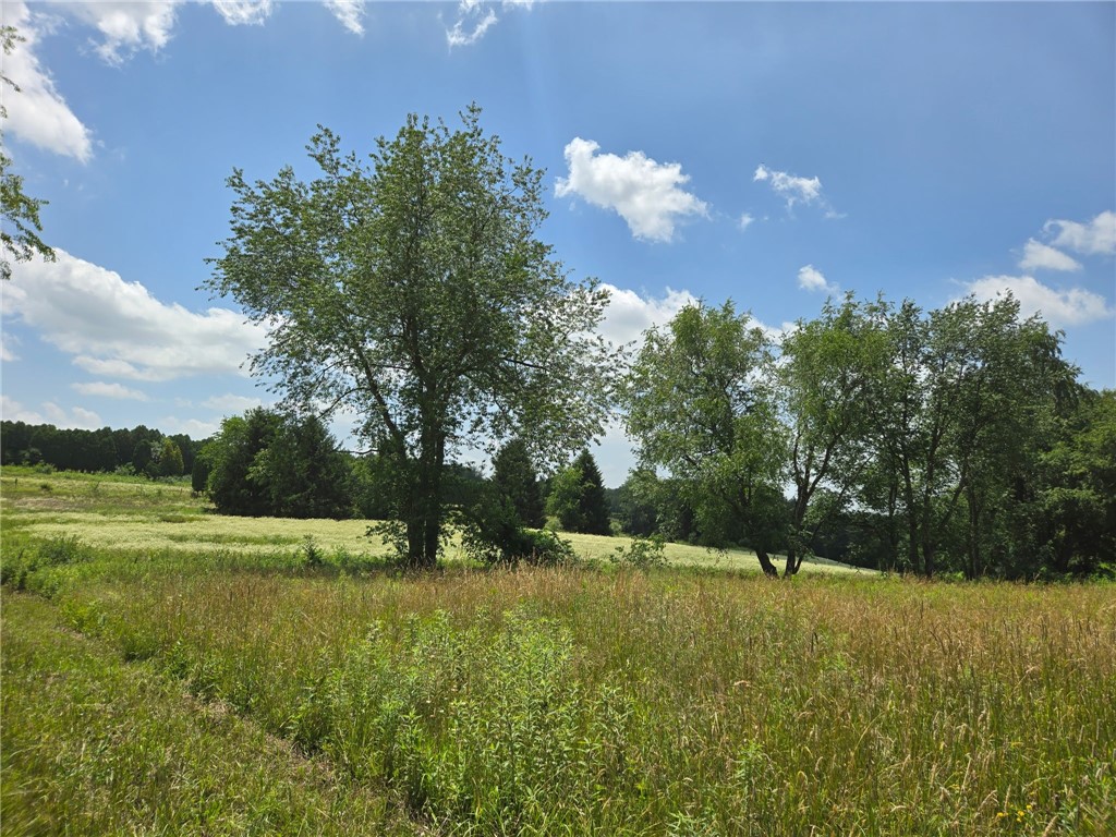 139 Pallack Ln