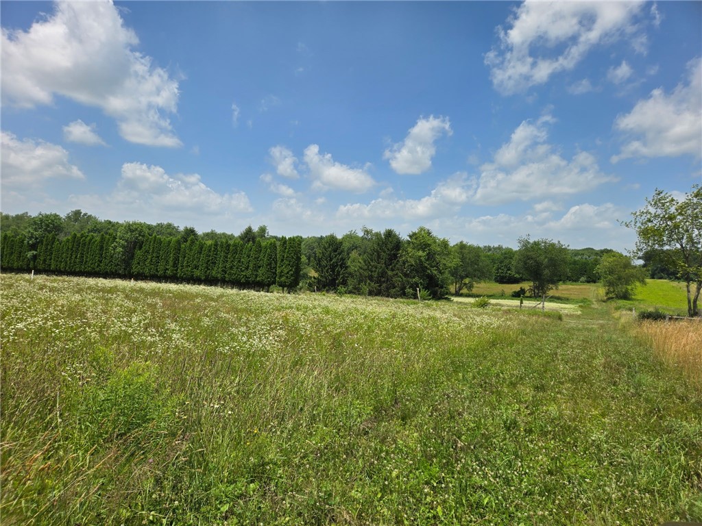 139 Pallack Ln