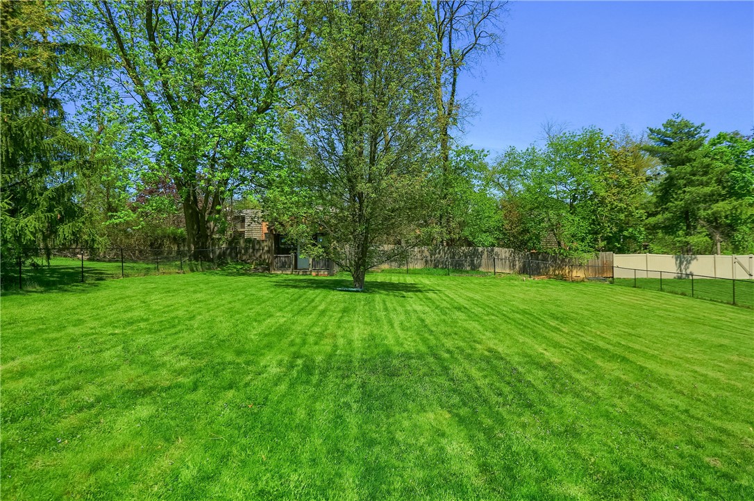 223 Springer Dr