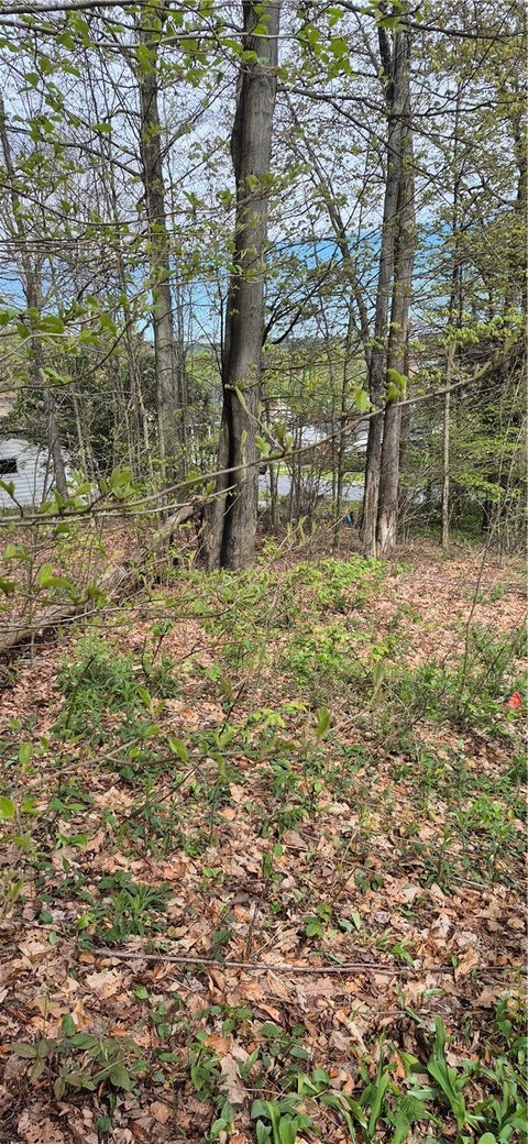 Vacant Land For Sale - 91 Lambert St<br/> Shade Twp, PA 15926
