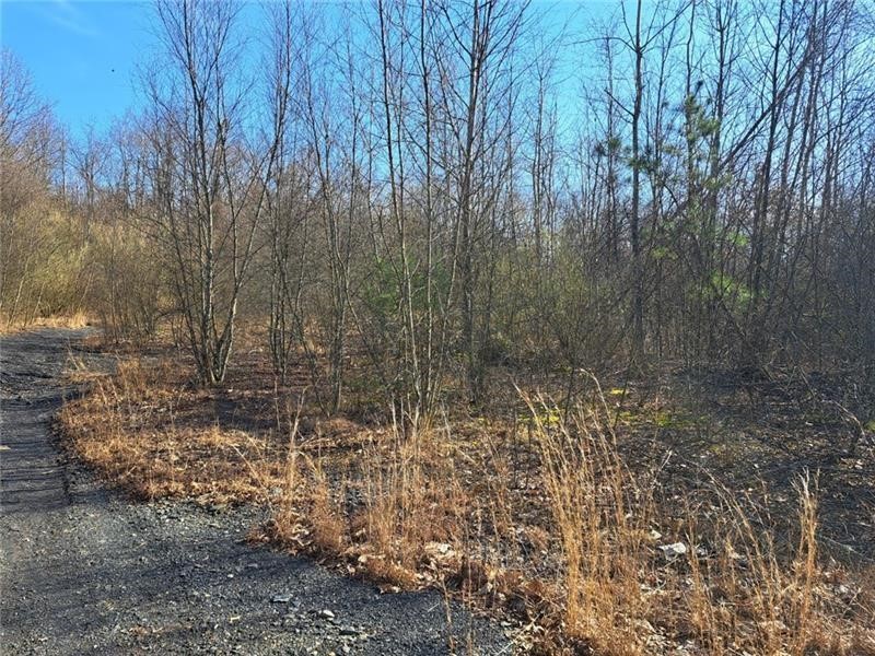 01 Joffre Cherry Valley Road