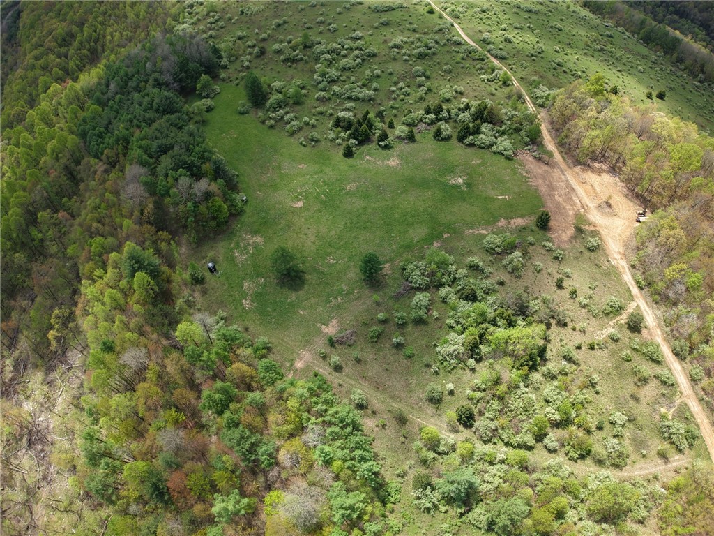 0 Lower Mudlic Rd