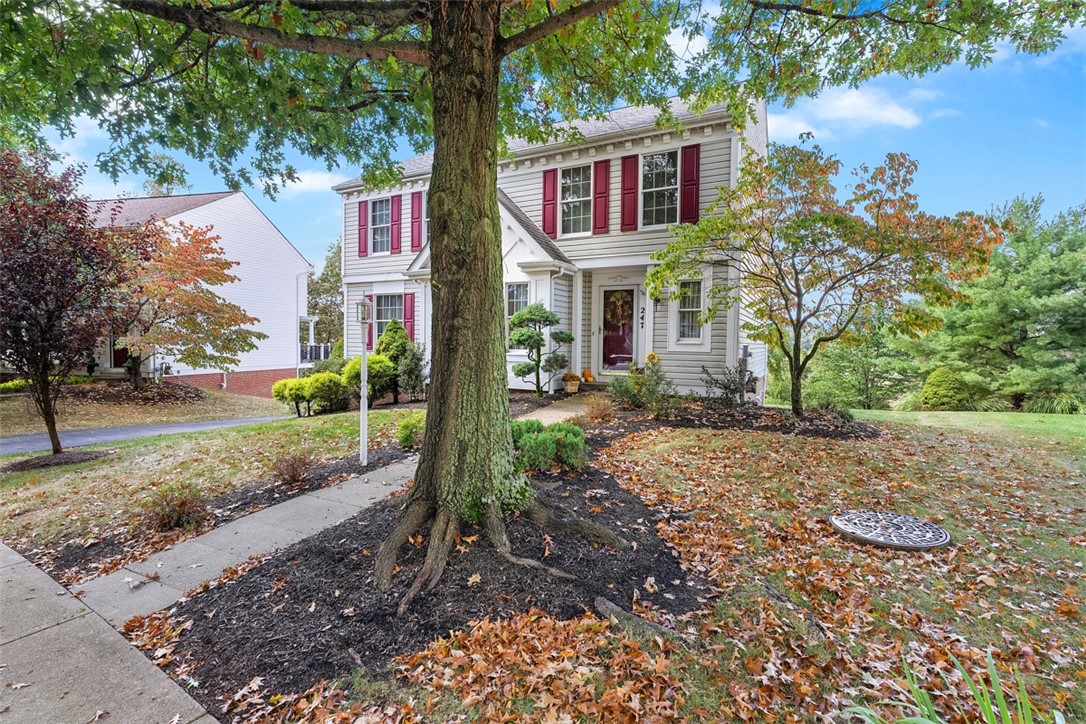 247 Randy Ln