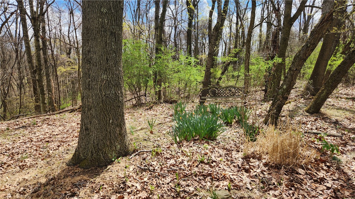 3741 Windover Rd Rd, Murrysville, Pennsylvania image 3