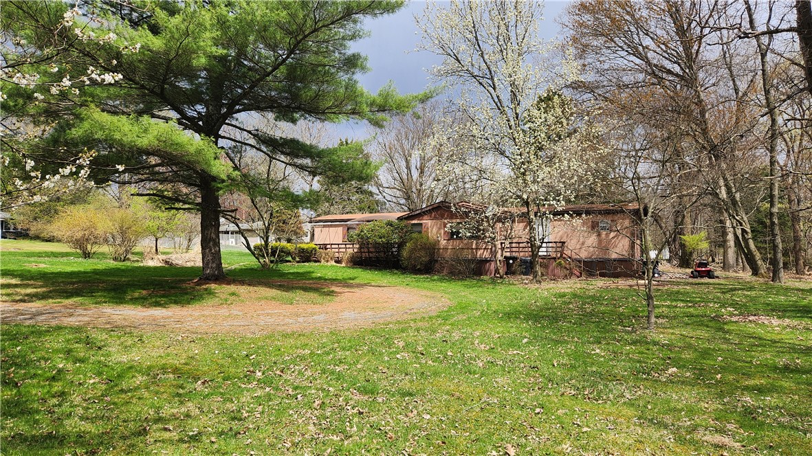 3741 Windover Rd Rd, Murrysville, Pennsylvania image 4