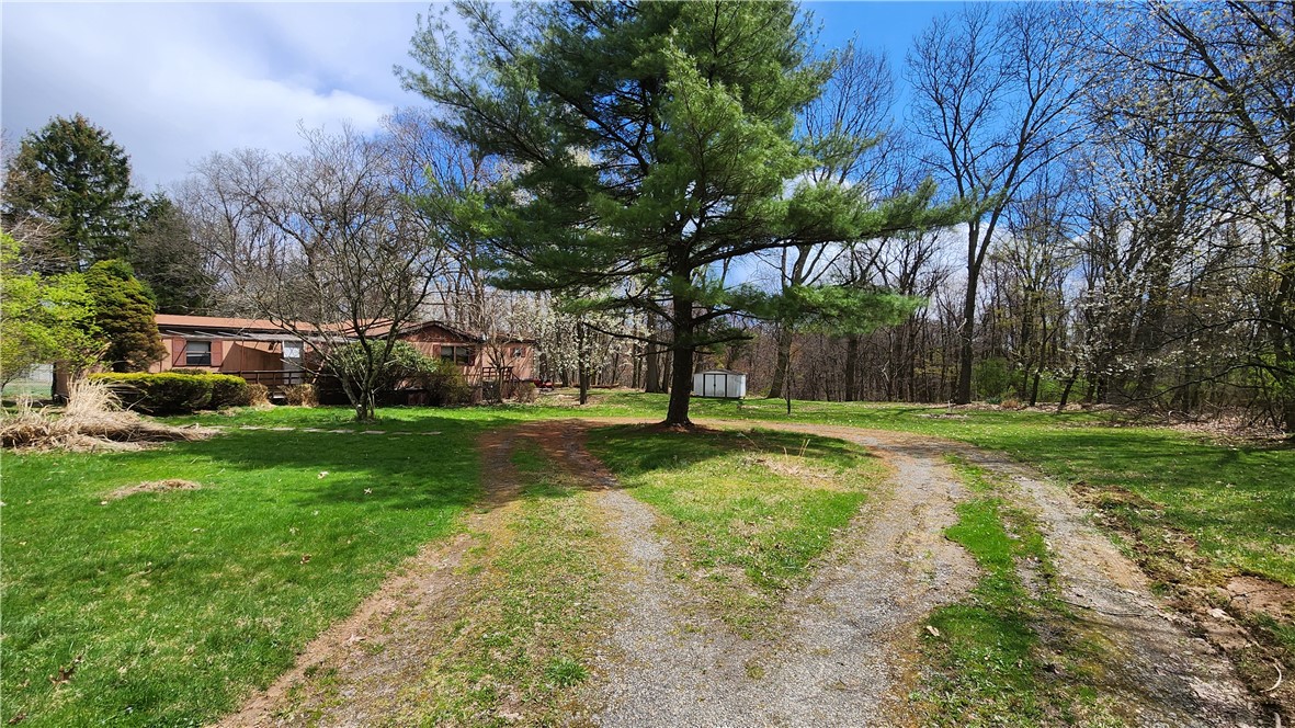 3741 Windover Rd Rd, Murrysville, Pennsylvania image 15