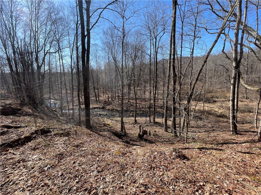 Sandy Lake Twp, Pennsylvania 16342, United States, ,Residential,Active,173882